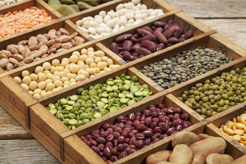 Protein Focus Versus Balance And Variety