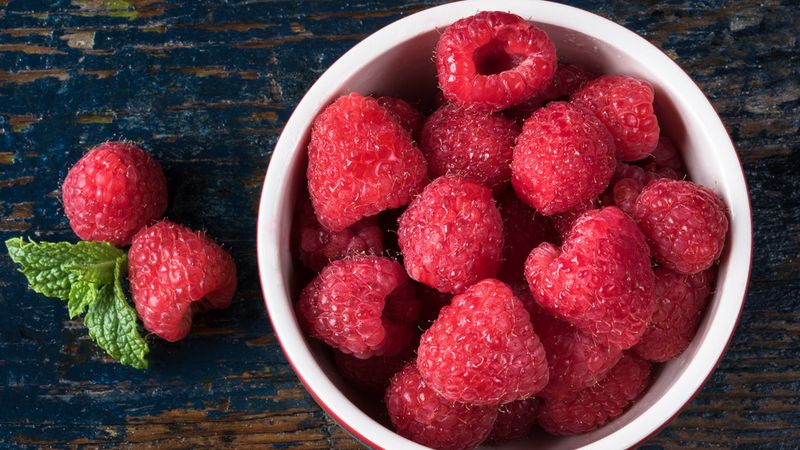 Immune System Support
