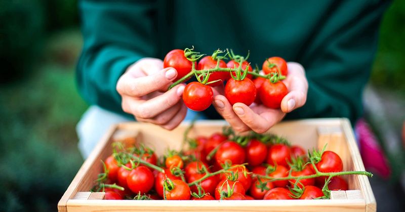 Support For Balanced Energy Intake