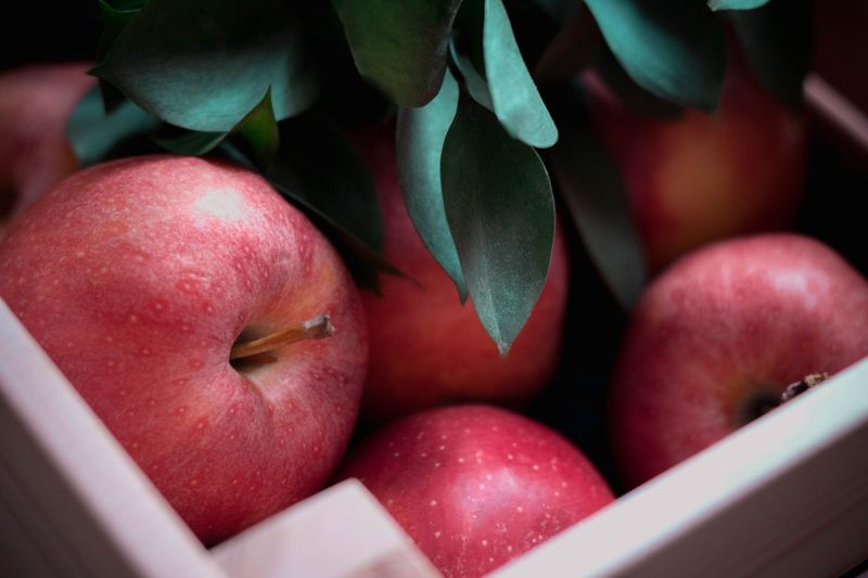 Apples (With The Skin On)