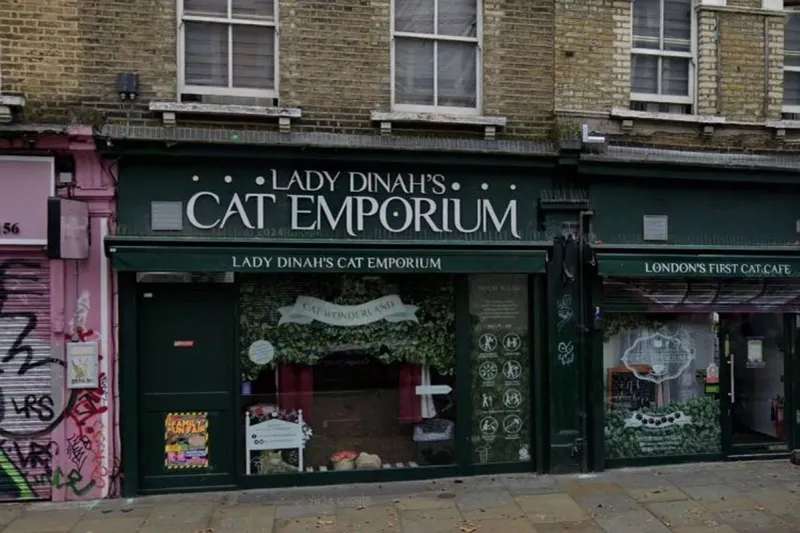 Lady Dinah's Cat Emporium (Bethnal Green, London)