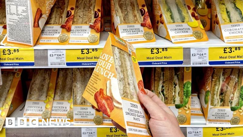 The Popularity Of Sandwich Based Lunches