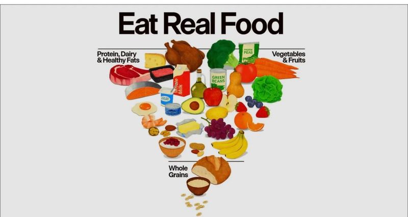 How The New Food Pyramid Shapes Public Understanding