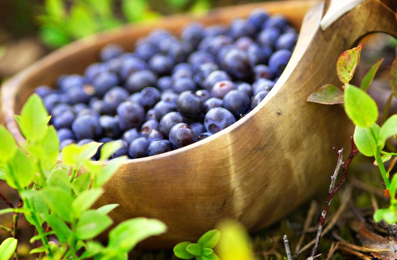 Natural Sweetness From Berries And Fruit