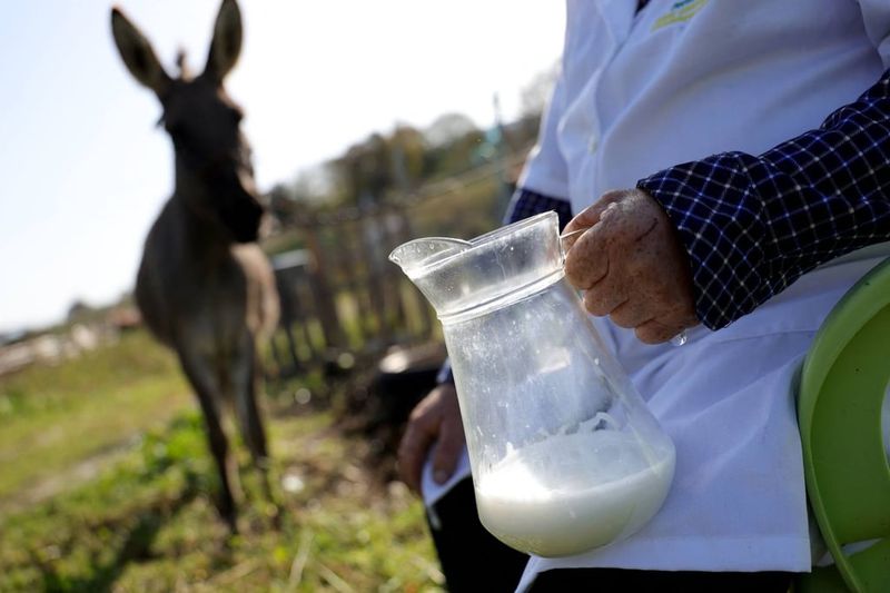 Protein Profile Similar To Human Milk