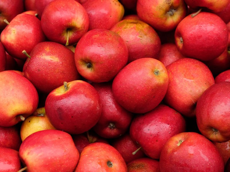 Apples