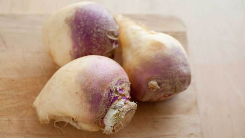 Swede