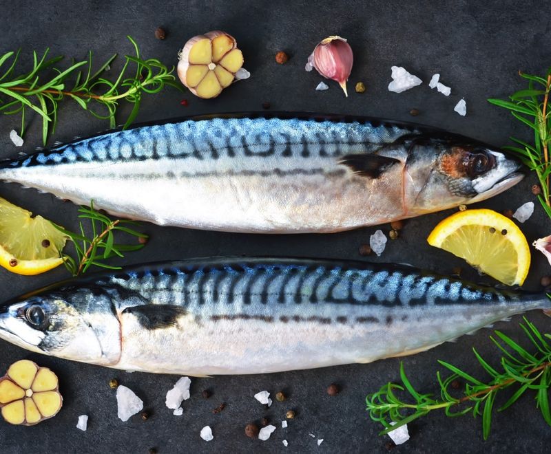 Mackerel
