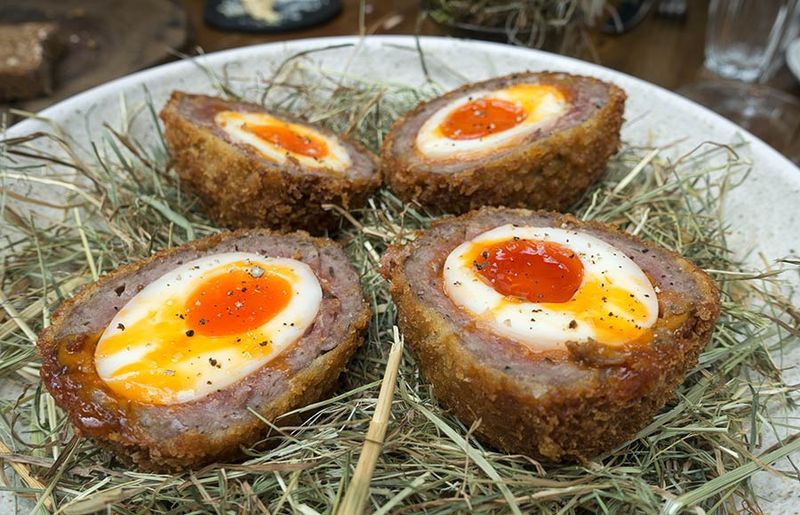 Scotch Egg