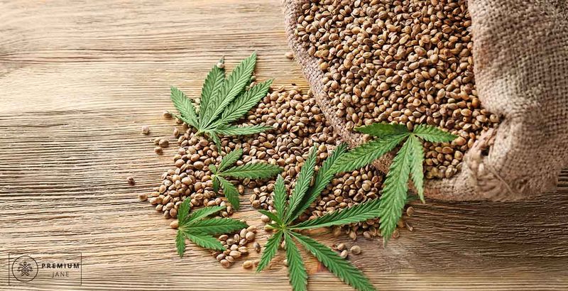 Hemp Seeds