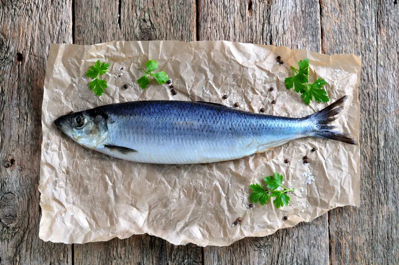 Herring