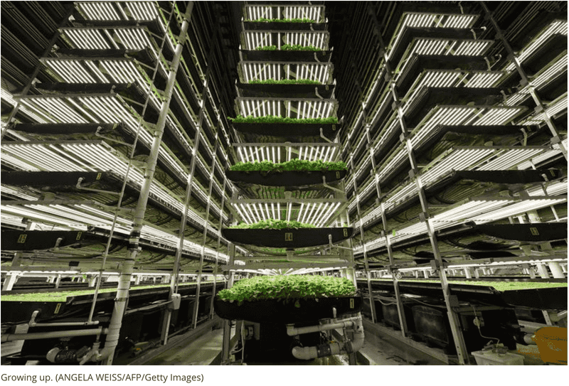 Vertical Farming In Cities