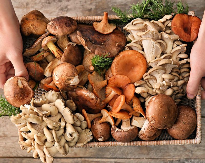Mushrooms
