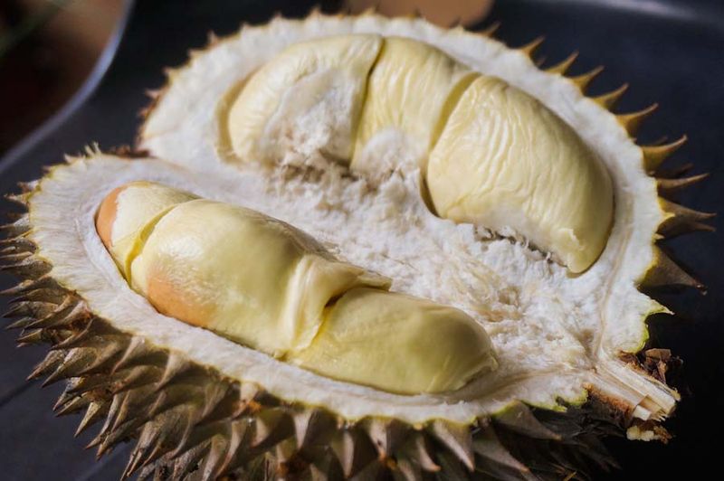 Contains Potassium For Normal Muscle And Nerve Function