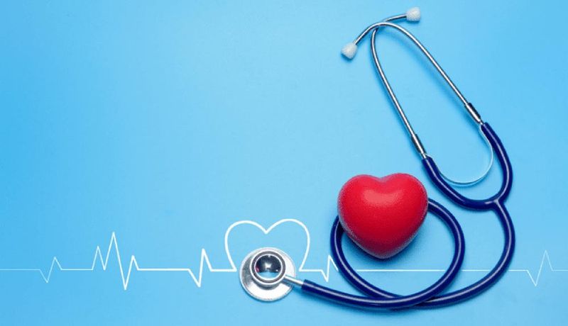 Supports Heart Health