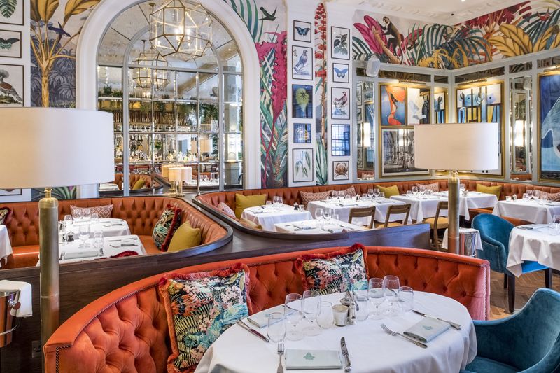 The Ivy Brasserie Brighton (Brighton)