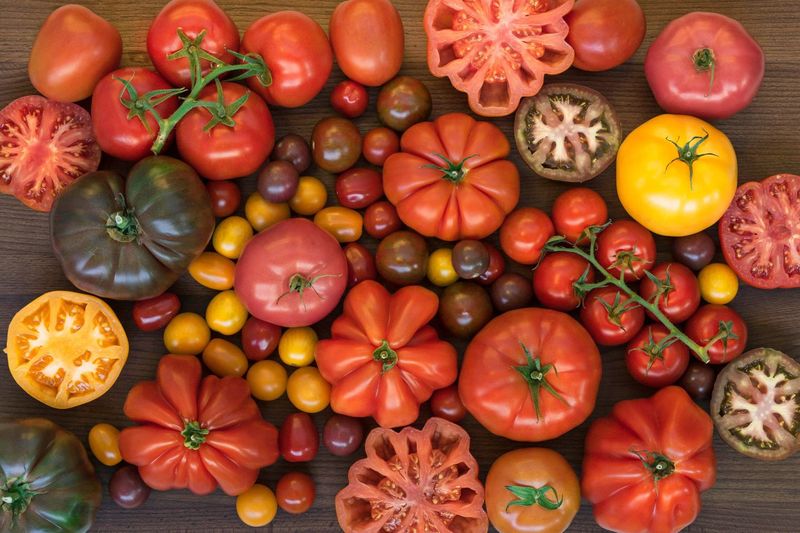 Tomatoes Were Once Considered Unsafe To Eat In Europe