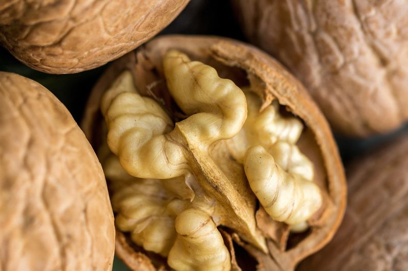 How Regular Intake May Support Brain Function
