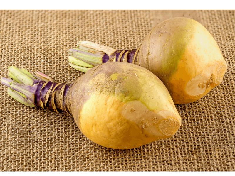 Swede