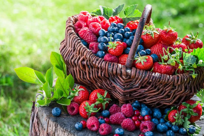 Berries