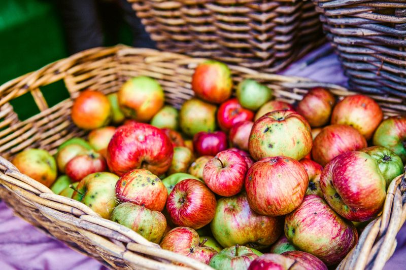 Ways To Enjoy Apples