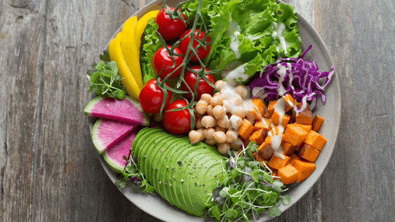 Balancing Macronutrients Supports Steady Energy Levels