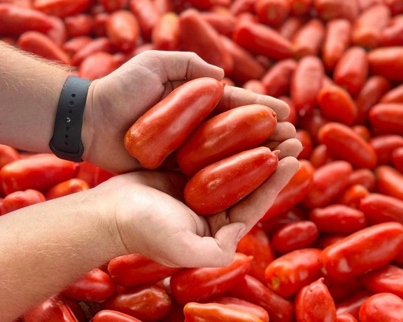 Contribution To Heart Conscious Eating Patterns
