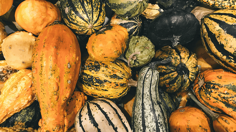 How Seasonal Eating Supports The Body In Colder Months