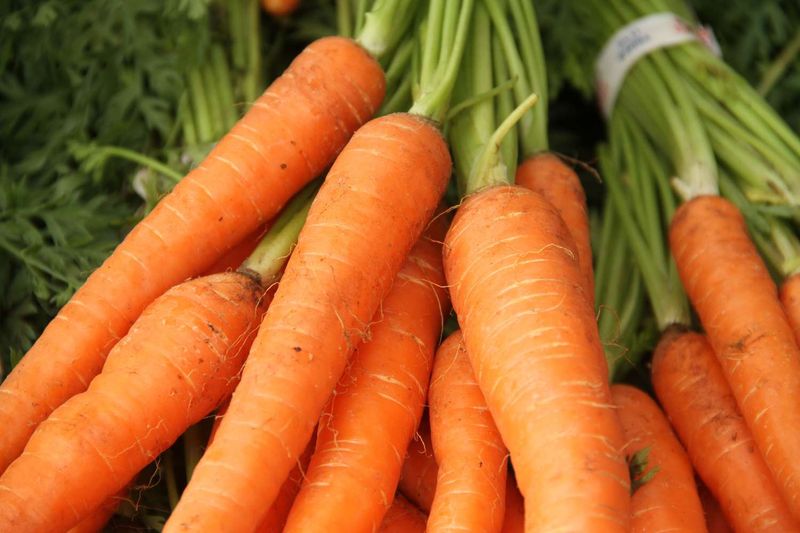 Your Vitamin A Intake May Improve Naturally