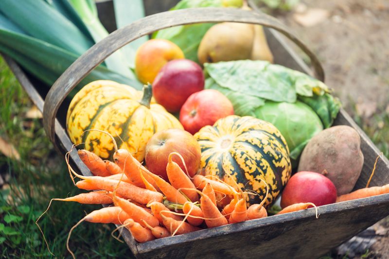 Seasonal Availability Of Ingredients