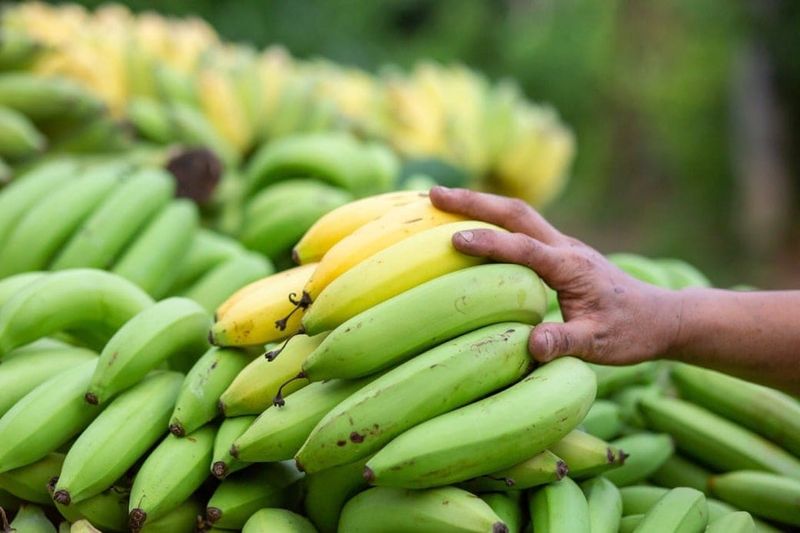 How Less Sugar Helps Keep Blood Sugar Balanced