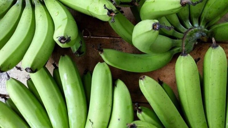 How Digestion Differs Between Green And Ripe Bananas