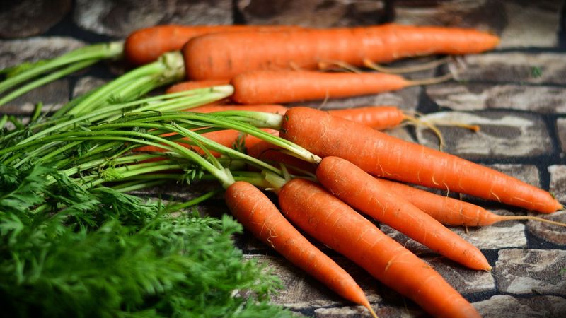 Digestive Regularity May Improve Thanks To Fibre