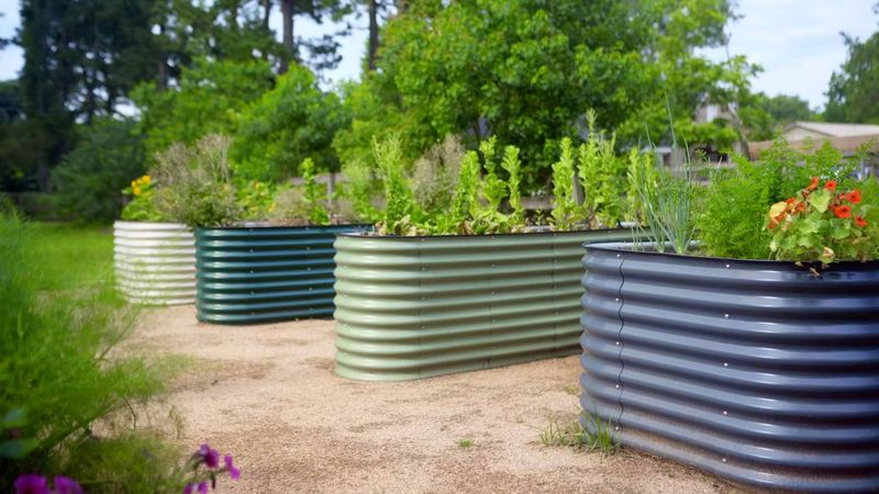 Growing Interest In Sustainable Living