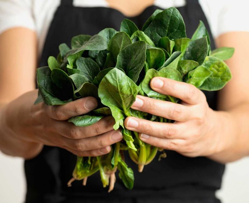 Small Dietary Changes That May Support Wellbeing
