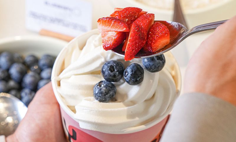 Frozen Yoghurt With Fresh Fruit