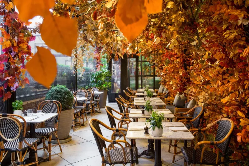 Autumn Decorations Welcome Cozy Evenings With Warm Colors