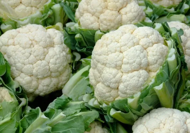 Cauliflower