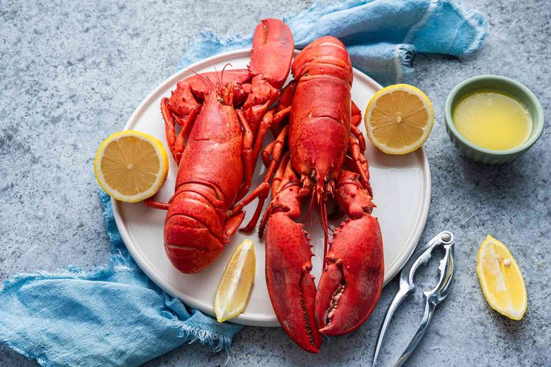 Lobster