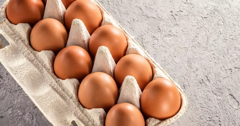 Eggs