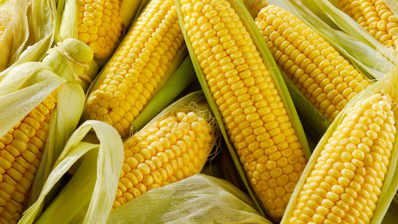 Sweetcorn