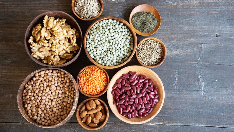 How Plant Protein Supports Everyday Energy