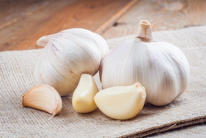 Garlic