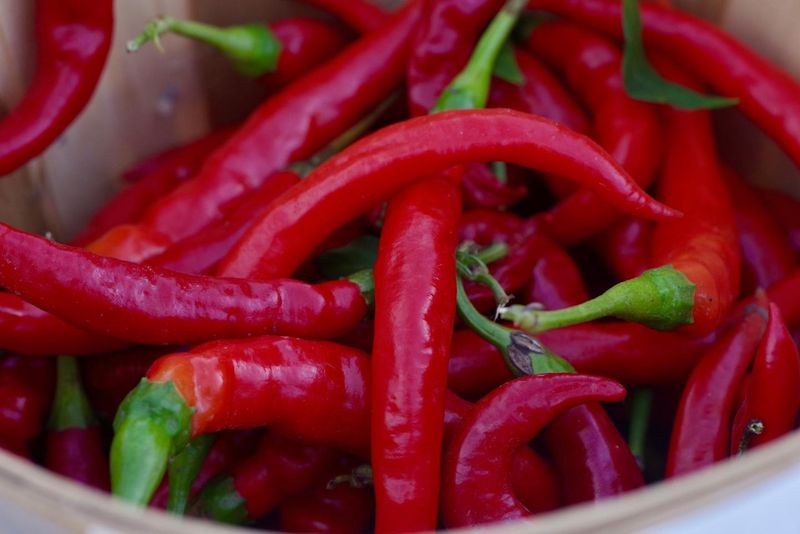 Chilli Peppers