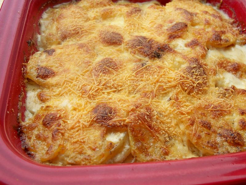 Salsify Gratin With Cheese And Cream