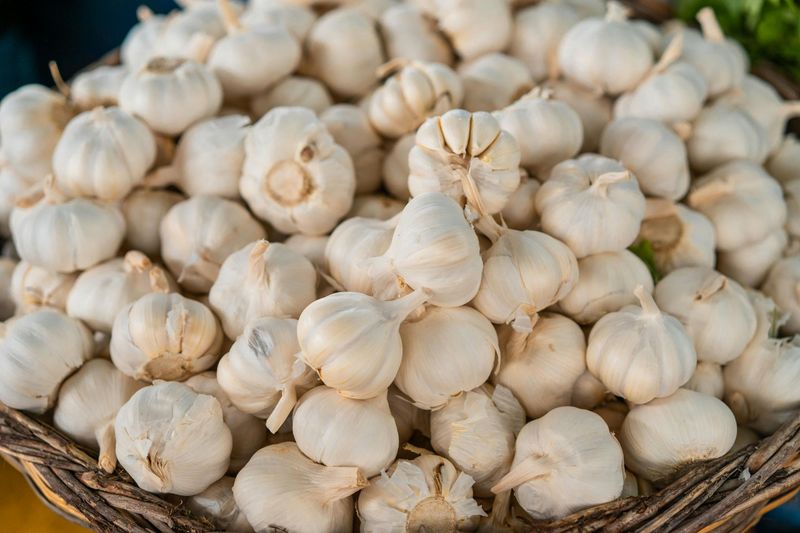 How Garlic Compounds May Support Artery Health