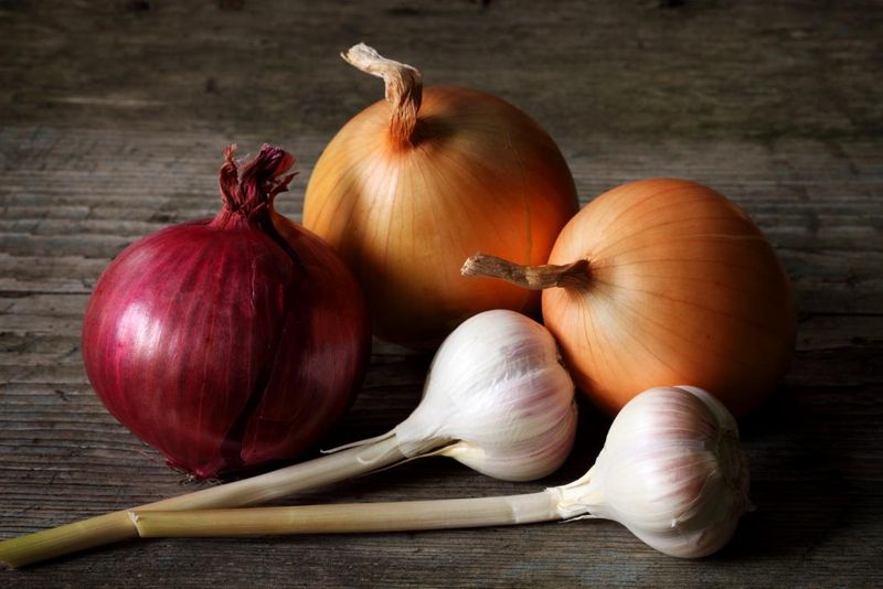 Vegetables Commonly Suggested For Kidney Health
