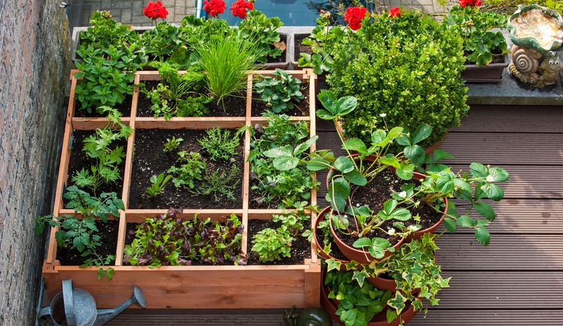 Making The Most Of Small Urban Spaces