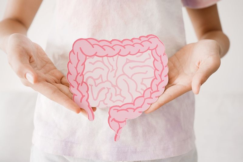 Advances In Gut Health And Microbiome Research