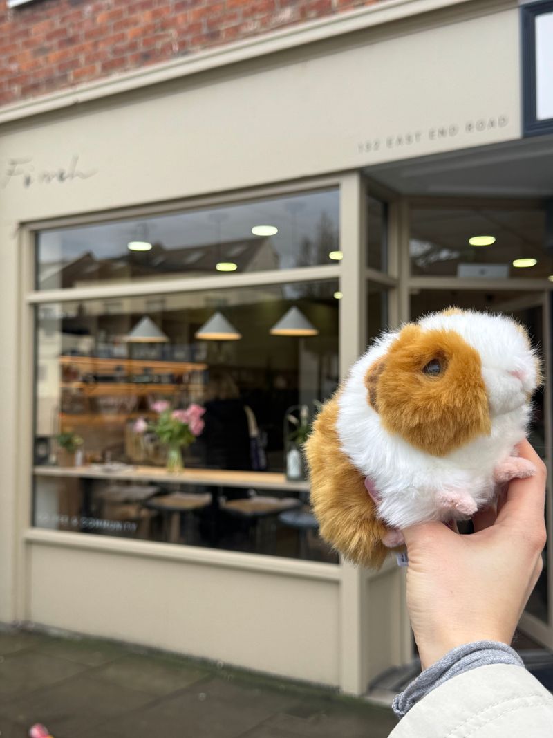 What The Café Offers Beyond Coffee – From Lego Clubs To Mindfulness Sessions